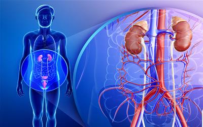 女性尿道口疙瘩：揭秘病因与应对策略