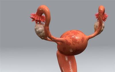 消糜栓的正确使用及潜在副作用全面解析