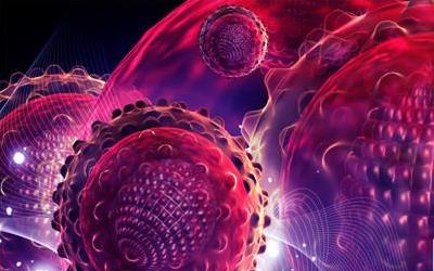 揭秘肝囊肿成因：从日常习惯到遗传因素