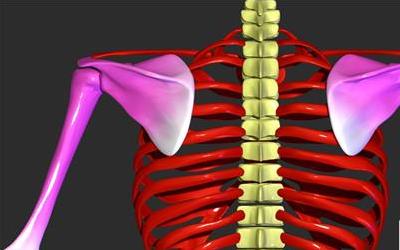 左侧胸下方肋骨疼痛的四大原因及科学缓解方法