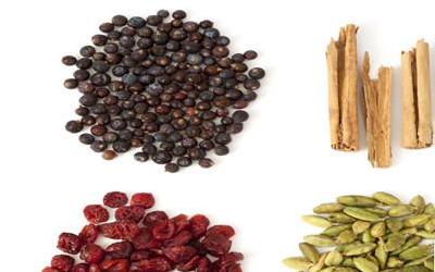 女性气血虚调理指南：告别虚不受补，重拾健康活力