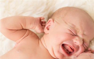 揭秘大便血丝：益生菌在健康管理中的关键作用