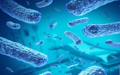 幽门螺旋杆菌感染真相：会传染吗？三兄弟的亲身经历与专业解读