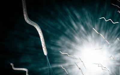 肝胆阻塞：症状揭秘与防治策略