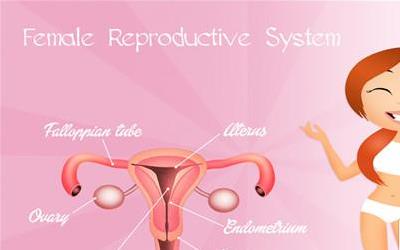 揭秘输卵管黏连：原因、症状及防治策略