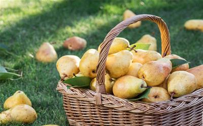 喉咙深处痛：揭秘原因与应对策略