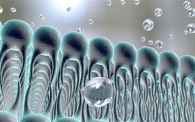 高血脂的全面治疗与饮食调理方案