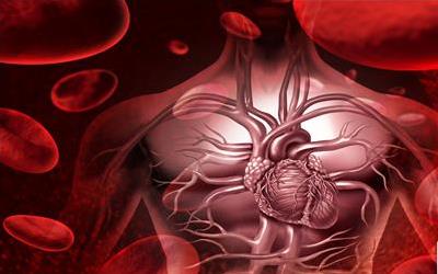 血热症状详解：识别与调理之道