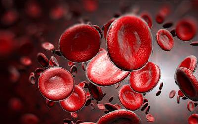 红细胞体积分布宽度偏低可能引发的健康问题及应对措施