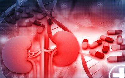 女性肾虚的调理方法与食疗方案