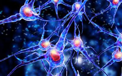 腿部肌肉神经损伤的成因、类型及康复指南