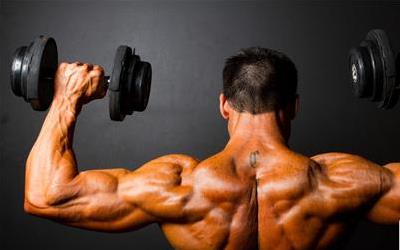 全面指南：科学锻炼身体长肌肉的方法