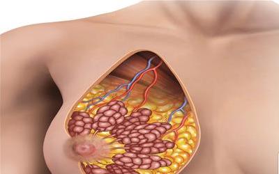 哺乳期妈妈必看：回奶全攻略，告别烦恼，轻松回归职场