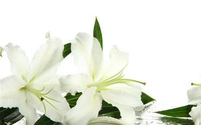 冰糖百合山楂：揭秘如何有效去除烟毒