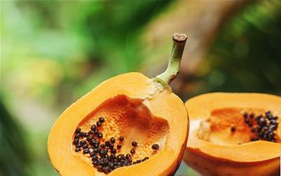 木瓜养生禁忌：揭秘与哪些食物同食不利健康