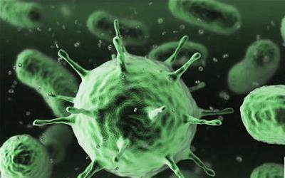 吸血虫病显著症状及应对策略详解