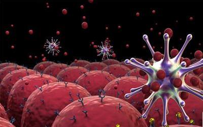 吸血虫病显著症状及应对策略详解