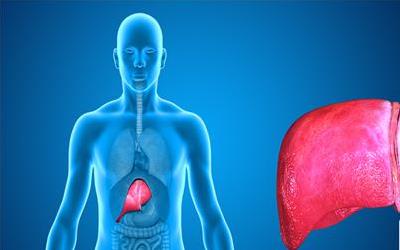 肝炎携带者能否治愈及日常管理全攻略