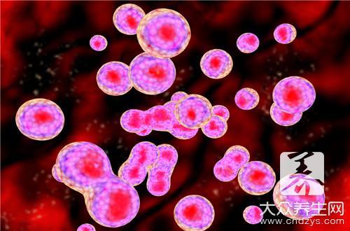 神经干细胞移植：揭秘脑部疾病治疗新希望