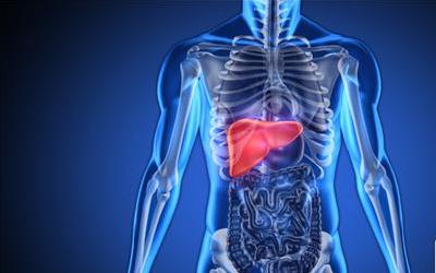 中药与针灸：打通全身经络，恢复健康活力