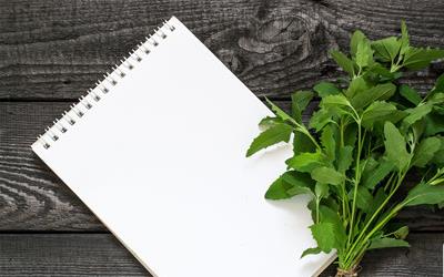 榆钱叶：春季养生佳品，揭秘其功效与食用方法