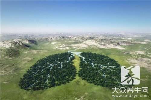 养肺秘籍：8款天然食物助你改善肺部健康